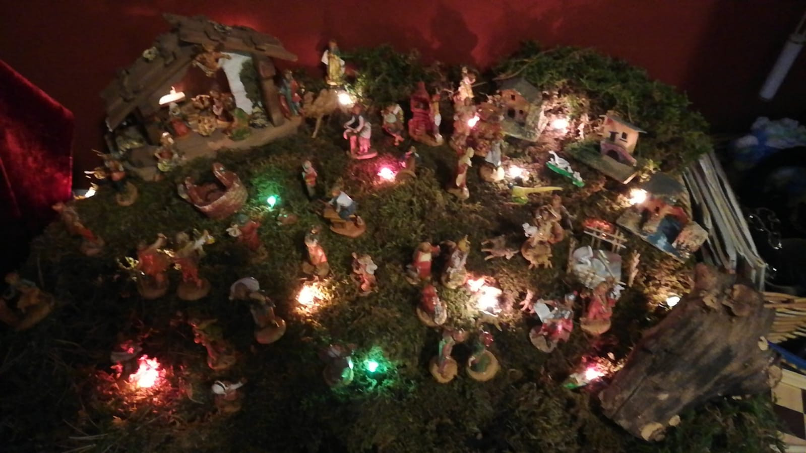 Ludovica Nanni - Accoglienza